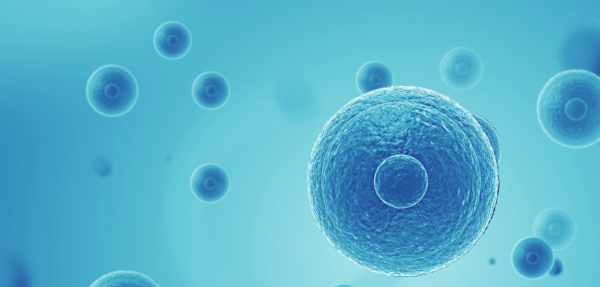 以患者需求為核心，驅(qū)動(dòng)細(xì)胞免疫治療創(chuàng)新，實(shí)現(xiàn)癌癥可控化并最終治愈。